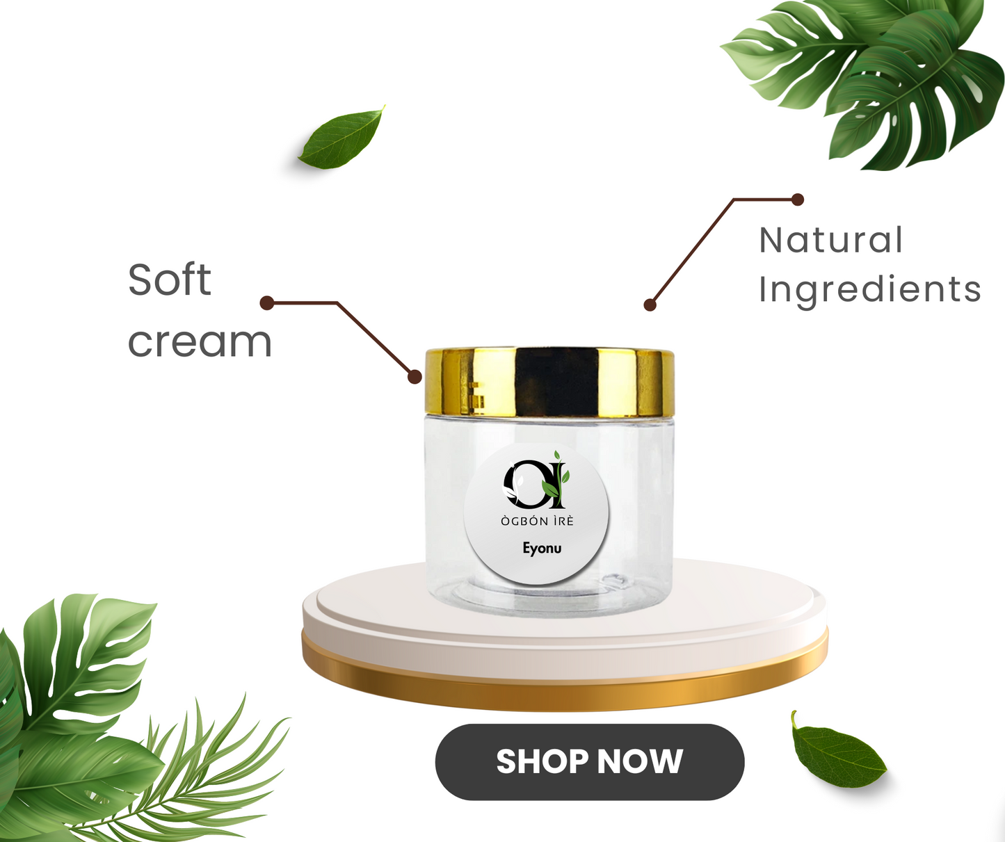 Eyonu: Financial breakthrough