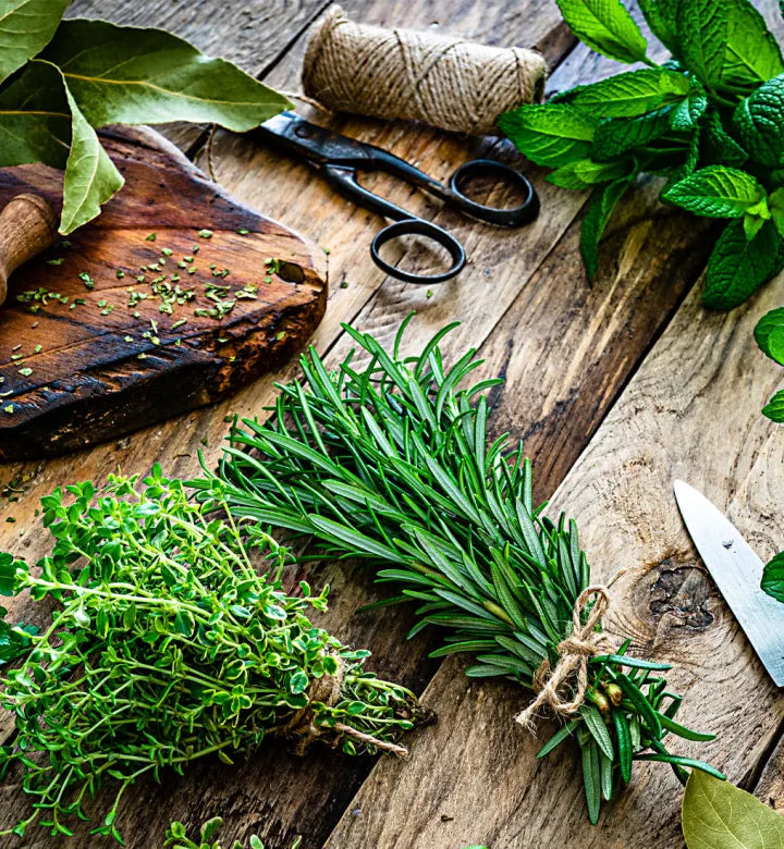 List with Names of Herbs Yoruba-English