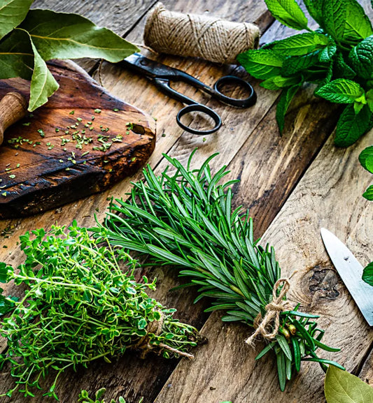 List with Names of Herbs Yoruba-English