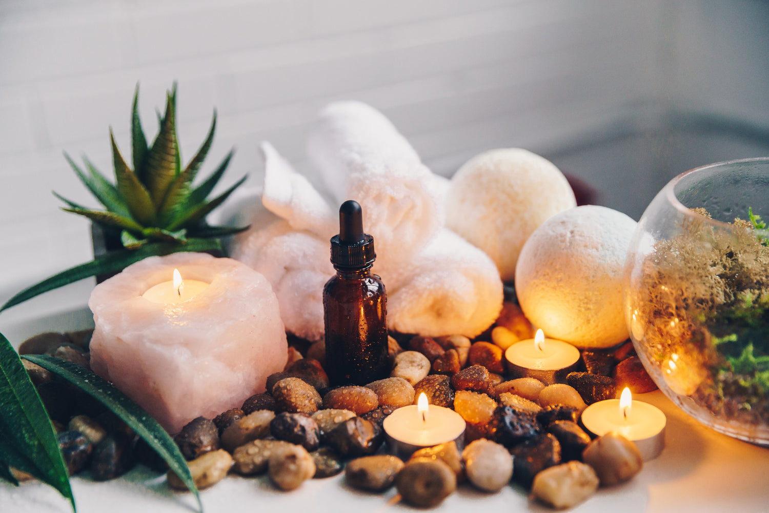 All Products