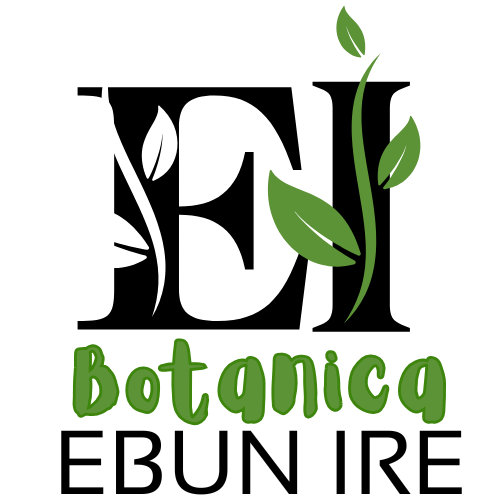 EBUN IRE BOTANICA ISESE