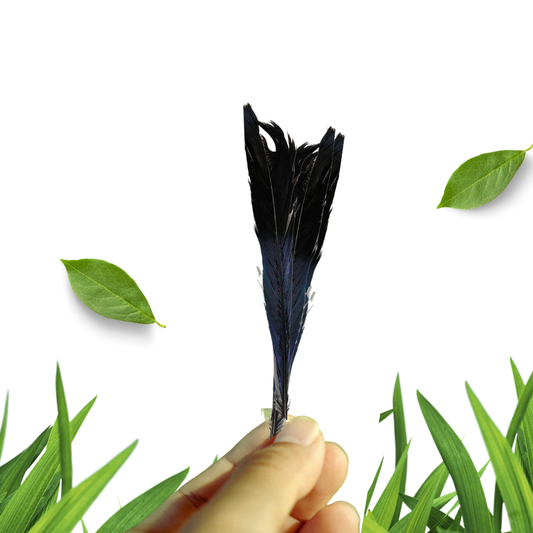 Abbe feather Babalawo Ifa religion