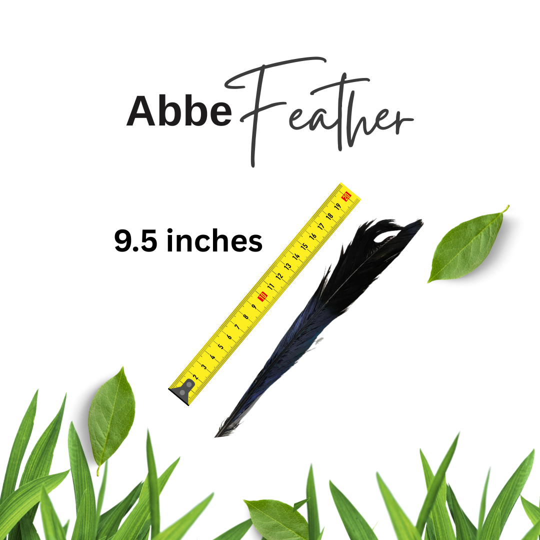 Abbe feather Babalawo Ifa religion