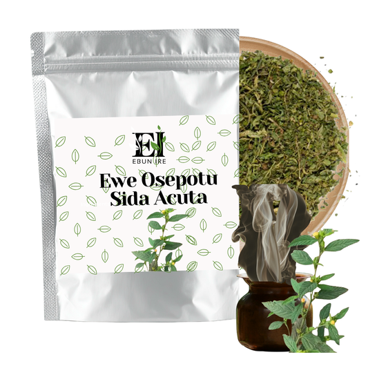 Dried Herbs of Ewe Osepotu Sida Acuta Spiritual Dream revelation